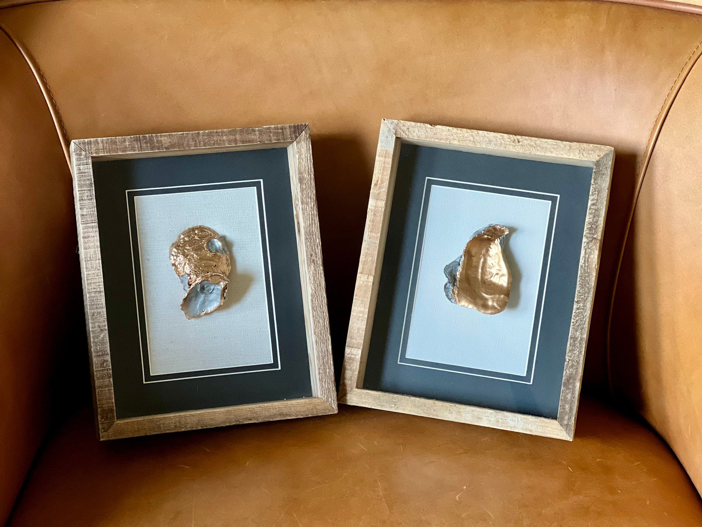 Unique Louisiana oyster shell shadow box