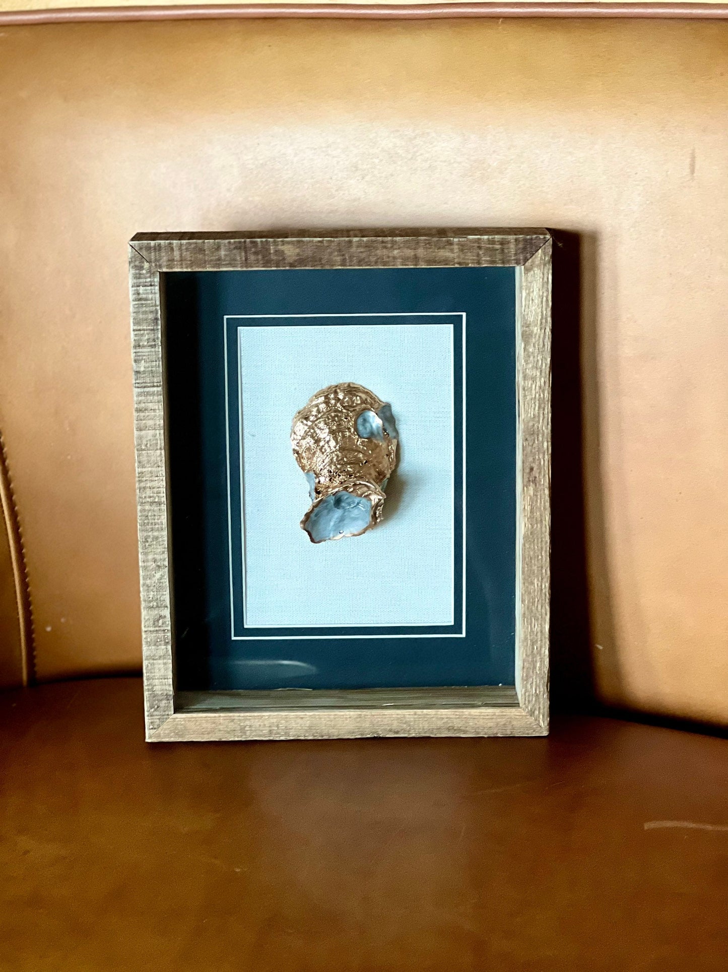Unique Louisiana oyster shell shadow box