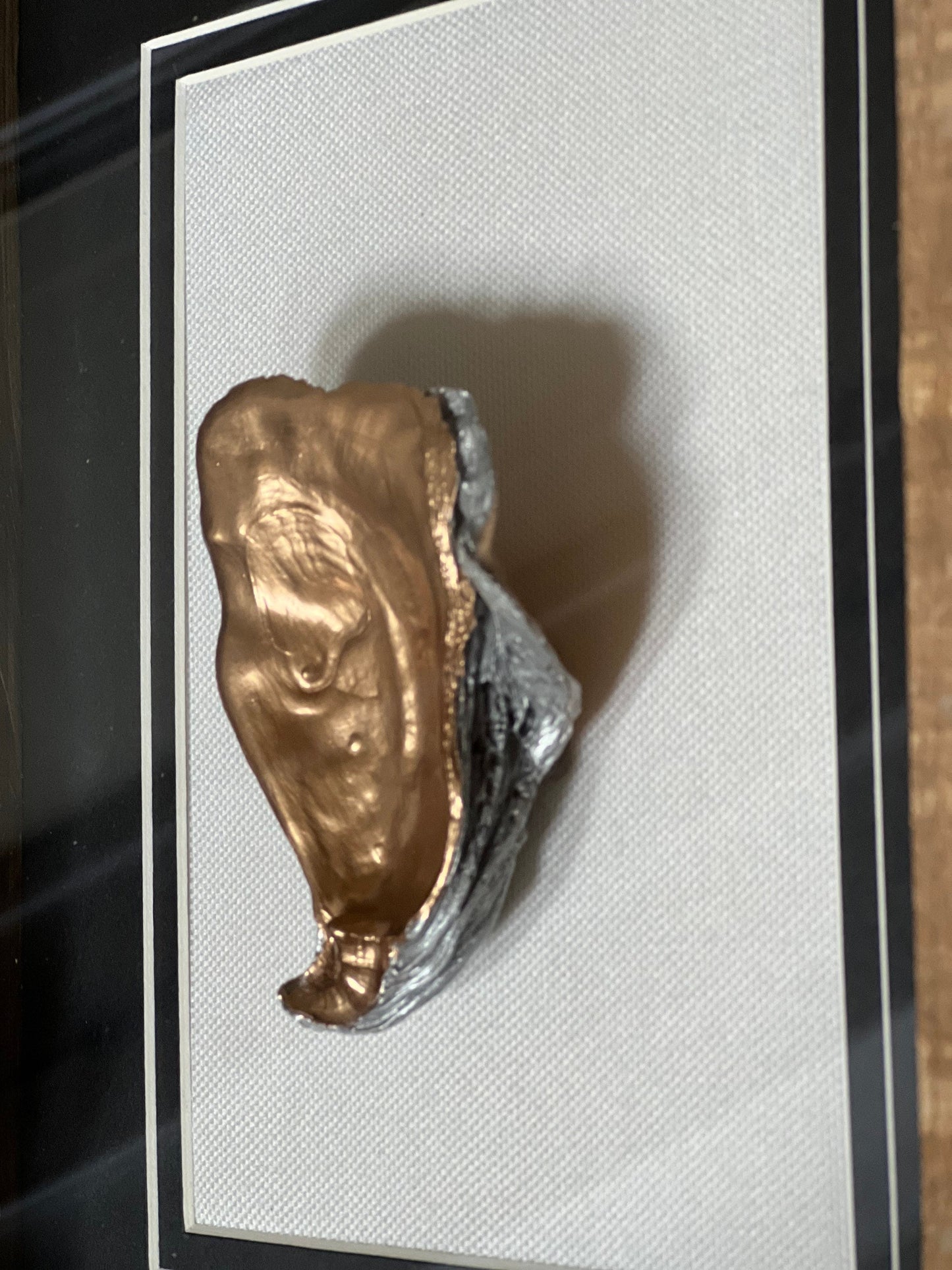 Unique Louisiana oyster shell shadow box