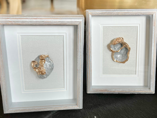 Unique Louisiana oyster shell shadow box