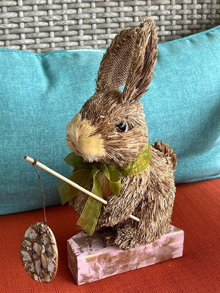 Bunny sitter